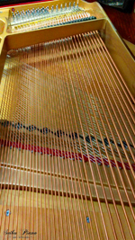 vol.3　グランドピアノの弦